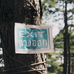 Low angle view of information sign on tree trunk