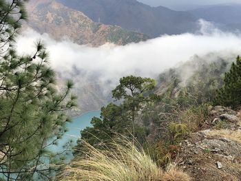 Scenic view of foggy weather