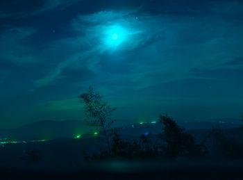 Silhouette trees against blue sky at night