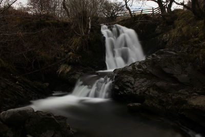 Scenic view of waterfall in forest