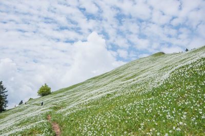 Low angle view of mountain against sky