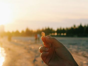 Close-up of hand holding seashell on beach