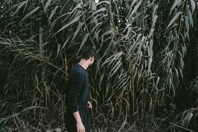 Side view of young man standing against plants on field