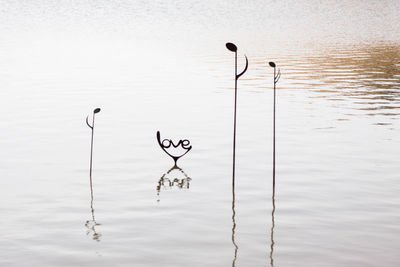 Love metallic sign in water