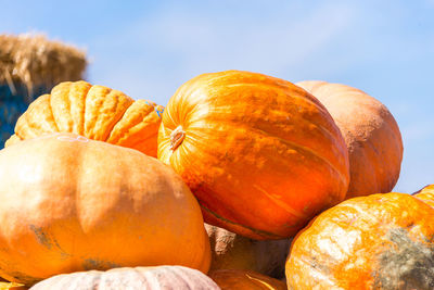 Close-up of pumpkins against sky