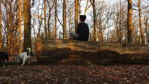 Man sitting on tree trunk in forest