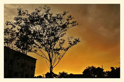 Silhouette of trees at sunset