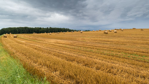 Hay bales on field against sky