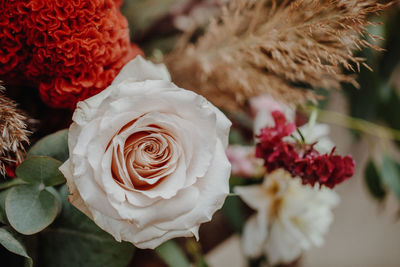 Close-up of rose bouquet