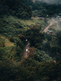 High angle view of road amidst trees