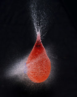 Close-up of jellyfish in water against black background