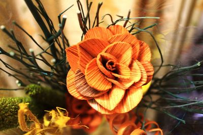 Close-up of orange flower