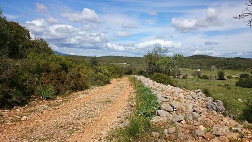 Dirt road passing through field