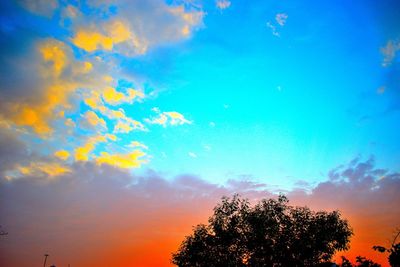 Low angle view of tree against sky during sunset