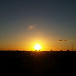 Silhouette of trees at sunset