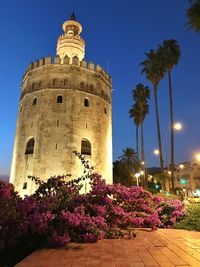 Low angle view of flowering plants by building against sky