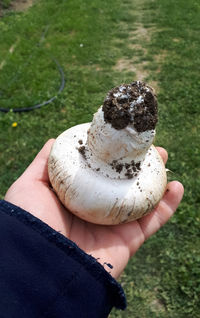 Close-up of hand holding ice cream cone