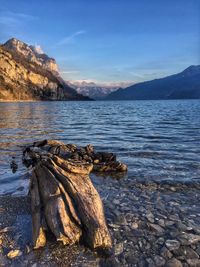 Driftwood on rock by lake against sky