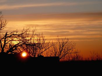 Silhouette bare tree against orange sky