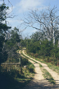 Road amidst trees in forest against sky