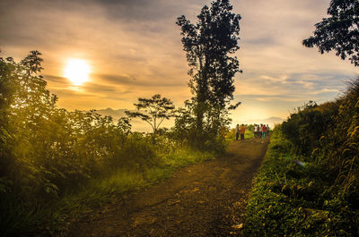 People walking past plants and tree at sunset