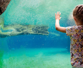 Child watching an aquarium