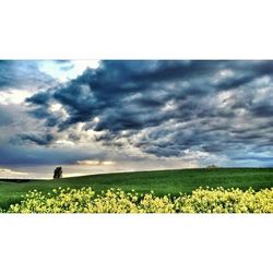 Scenic view of field against cloudy sky