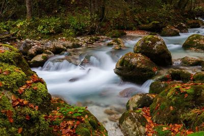 Stream flowing through rocks in forest