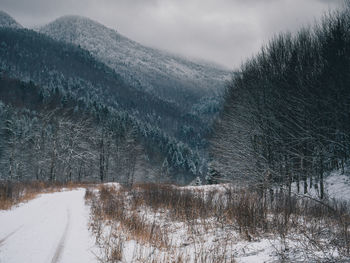 Snow covered land against sky