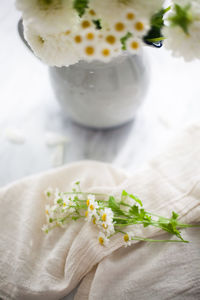 Close-up of flowers in plate