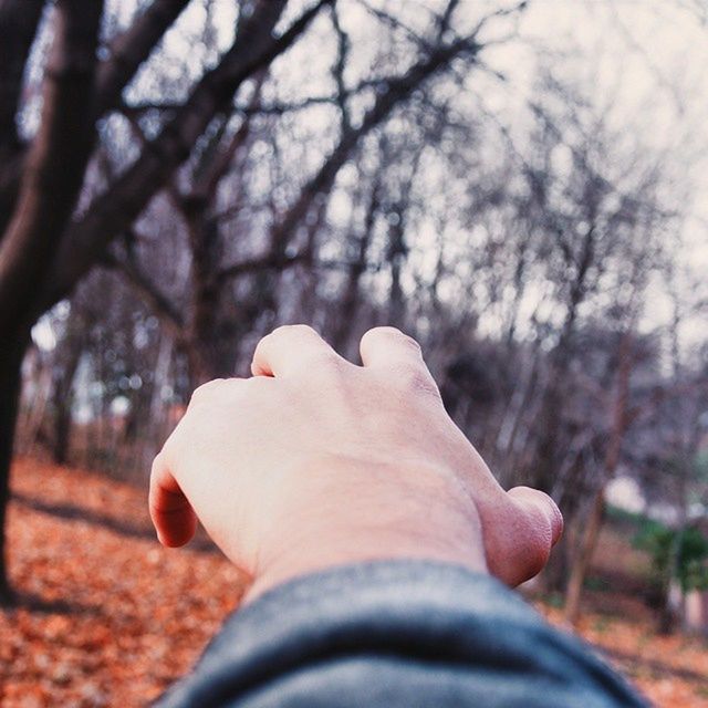 person, part of, tree, personal perspective, focus on foreground, human finger, cropped, holding, unrecognizable person, lifestyles, close-up, leisure activity, men, selective focus, day, outdoors