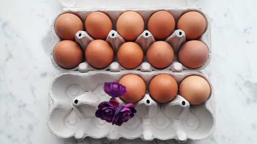 High angle view of eggs in container