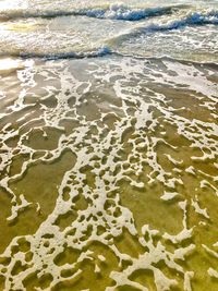 Scenic view of beach