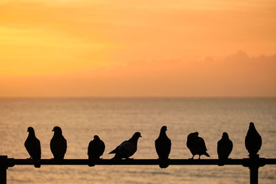 Silhouette people on beach against sky during sunset