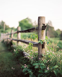 Wooden fence on field against clear sky