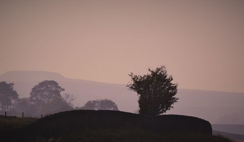 Silhouette tree on mountain against sky during sunset