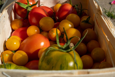 Close-up of fruits in basket