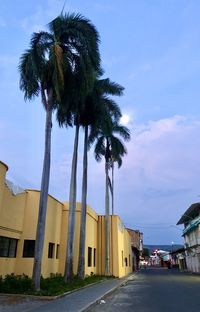 Palm trees by road against sky in city