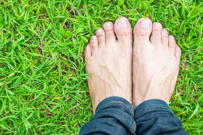 Low section of person on grass