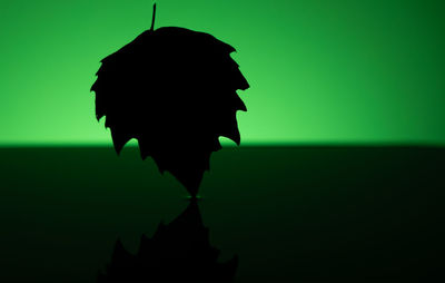 Portrait of silhouette man standing against green background