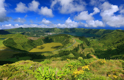 Scenic view of agricultural field against sky