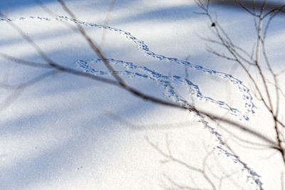 Full frame shot of snow