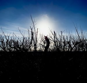 Silhouette person standing on field against sky