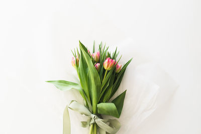 Bouquet of pink fresh tulips. beautiful card for mother's day