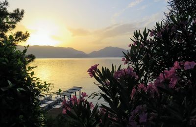 Scenic view of sea at sunset