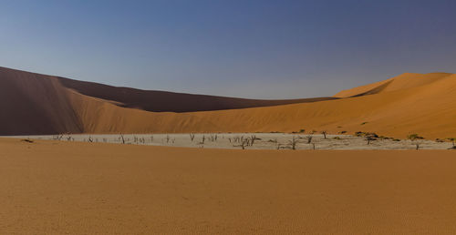 Scenic view of desert against clear sky