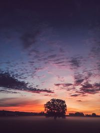 Silhouette trees on field against romantic sky at sunset