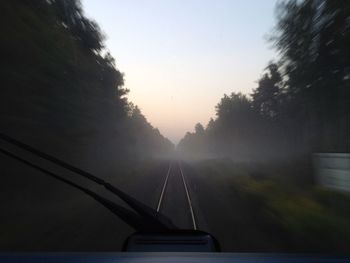 Road passing through forest