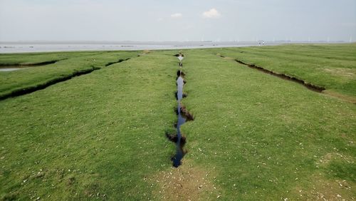 Scenic view of grassy field against sky