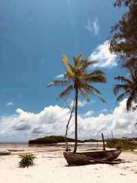 Palm trees on beach against sky